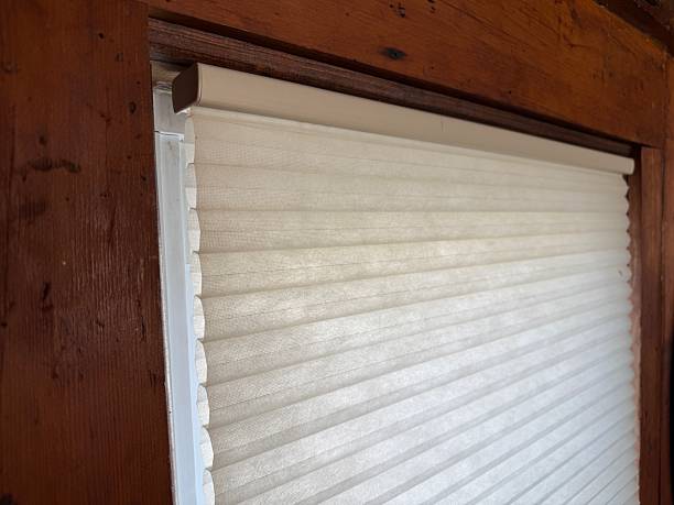 Energy Efficient Honeycomb Blinds Beat the Delhi Heat