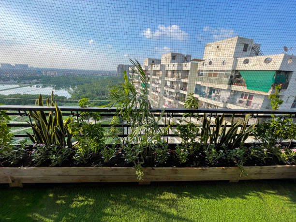 Create a Green Terrace with Artificial Grass in Delhi