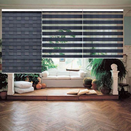 Zebra/Combi Blind